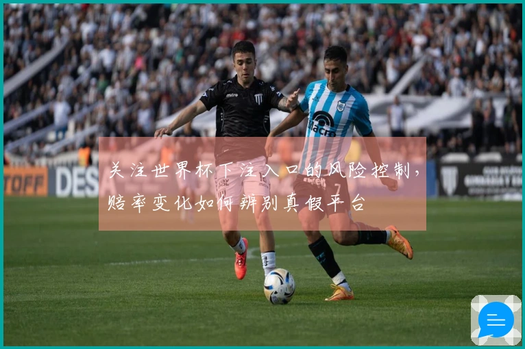 关注世界杯下注入口的风险控制，赔率变化如何辨别真假平台