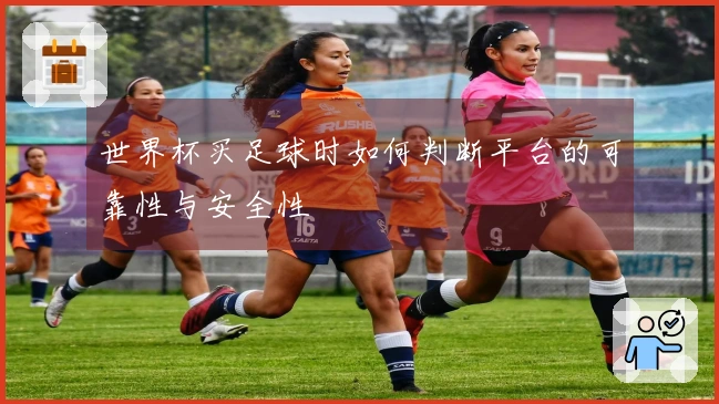 世界杯买足球时如何判断平台的可靠性与安全性