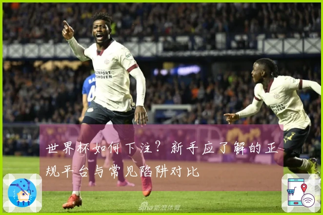 世界杯如何下注？新手应了解的正规平台与常见陷阱对比