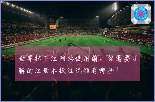 世界杯下注网站使用前，你需要了解的注册和投注流程有哪些？