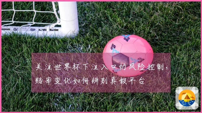 关注世界杯下注入口的风险控制，赔率变化如何辨别真假平台