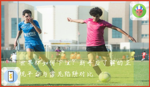 世界杯如何下注？新手应了解的正规平台与常见陷阱对比